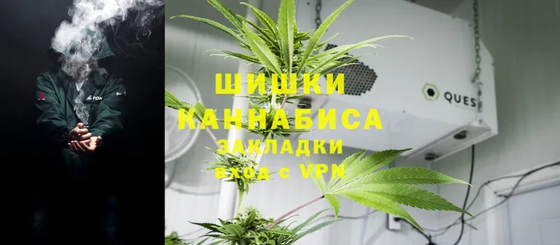 Шишки марихуана OG Kush  Клин 